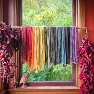 Exploring Mushroom and Lichen Dyes of the Puget Sound Region - Oct 3-4, 2026